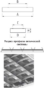 �������. �����